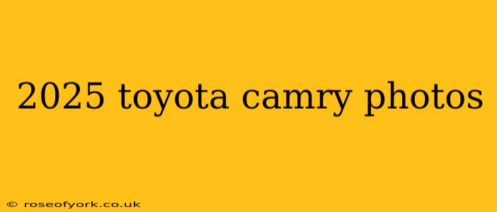 2025 toyota camry photos