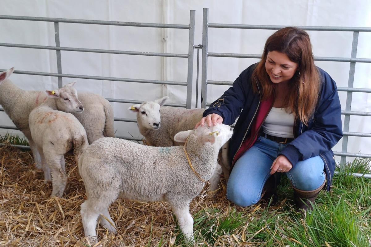 Dorset Spring Show Opens Today!