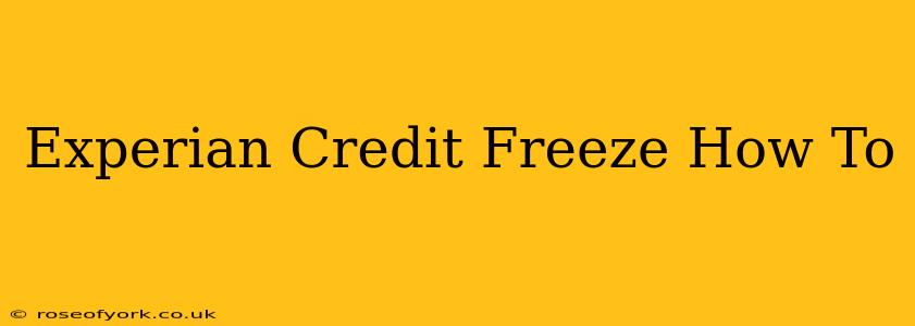 Experian Credit Freeze How To