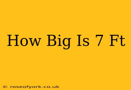 How Big Is 7 Ft