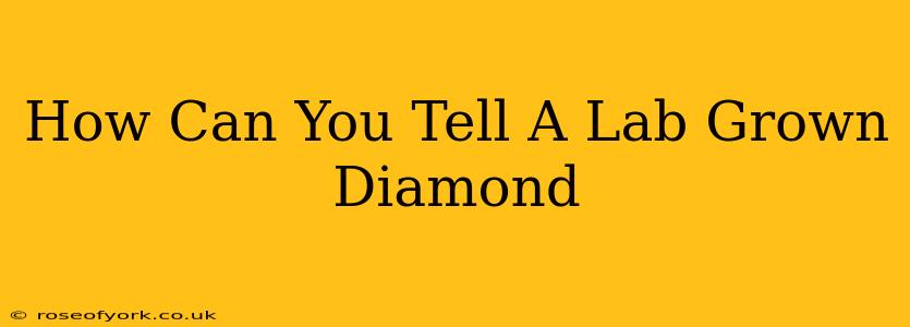 How Can You Tell A Lab Grown Diamond