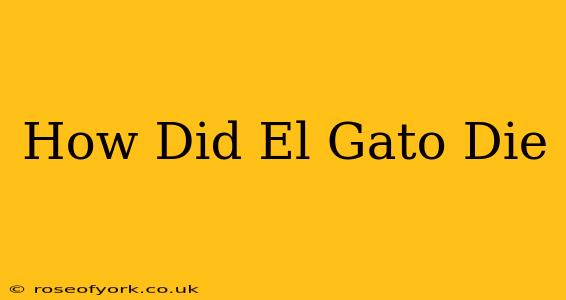 How Did El Gato Die