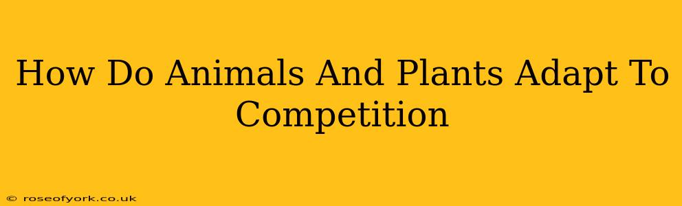 How Do Animals And Plants Adapt To Competition