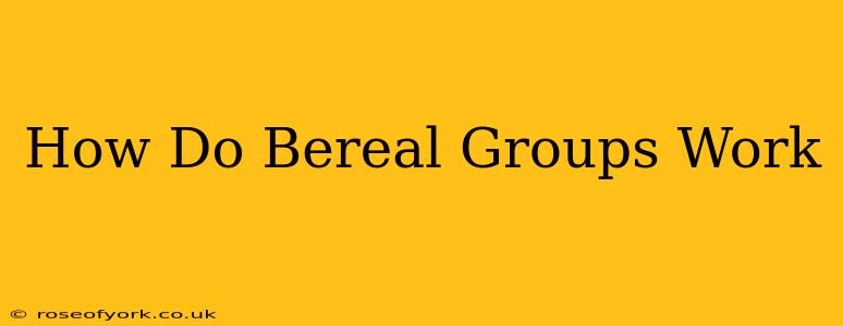 How Do Bereal Groups Work