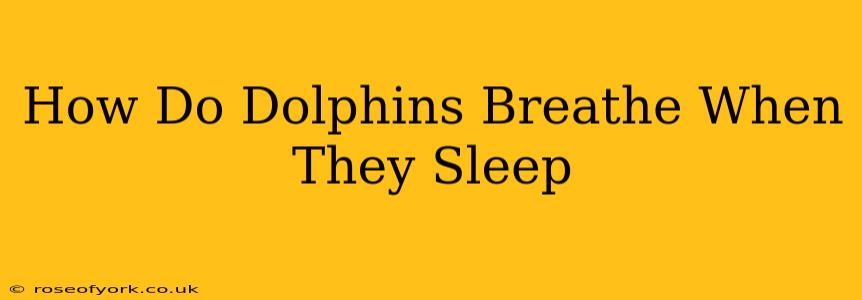 How Do Dolphins Breathe When They Sleep