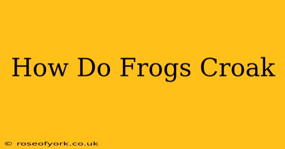 How Do Frogs Croak