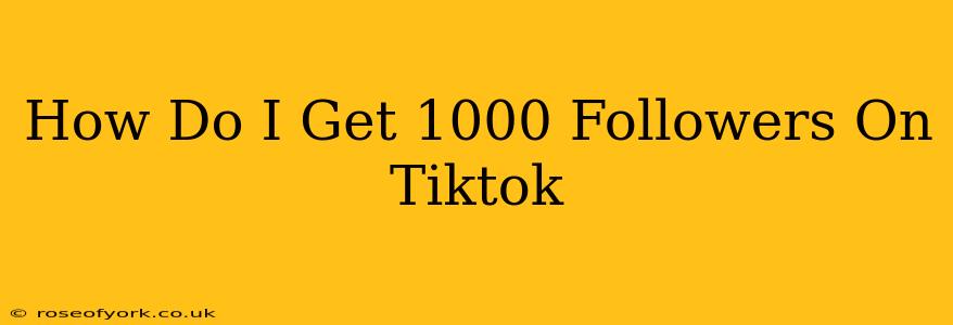 How Do I Get 1000 Followers On Tiktok