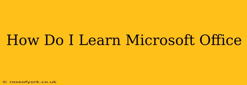 How Do I Learn Microsoft Office