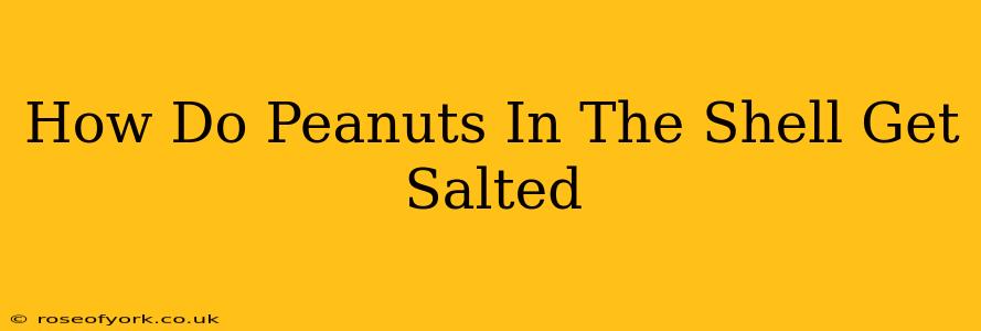 How Do Peanuts In The Shell Get Salted