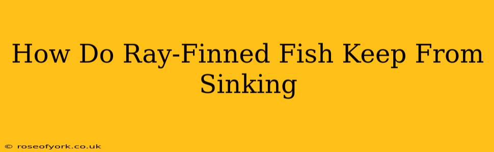 How Do Ray-Finned Fish Keep From Sinking