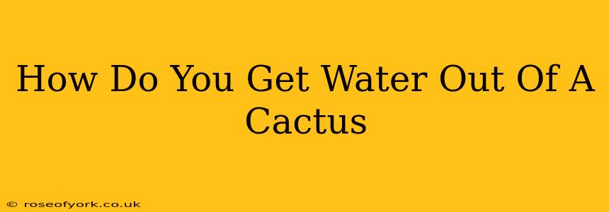 How Do You Get Water Out Of A Cactus