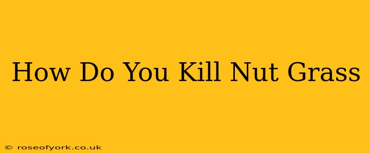 How Do You Kill Nut Grass