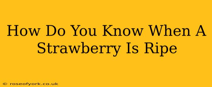 How Do You Know When A Strawberry Is Ripe