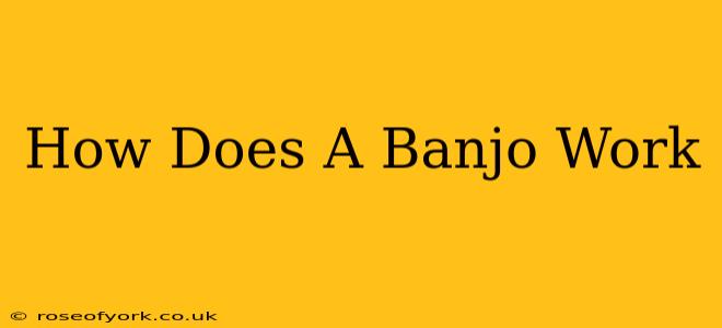 How Does A Banjo Work