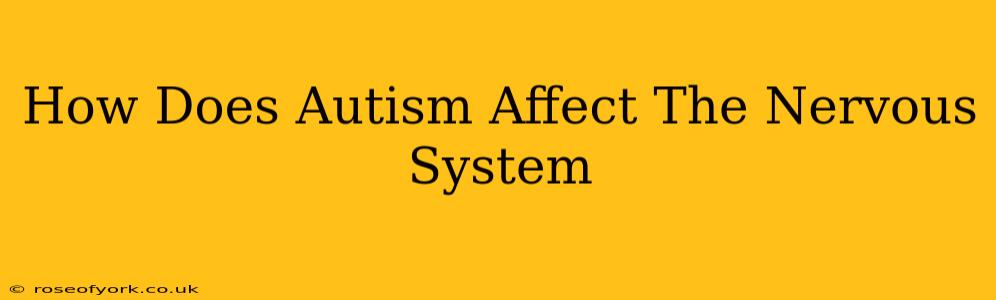 How Does Autism Affect The Nervous System