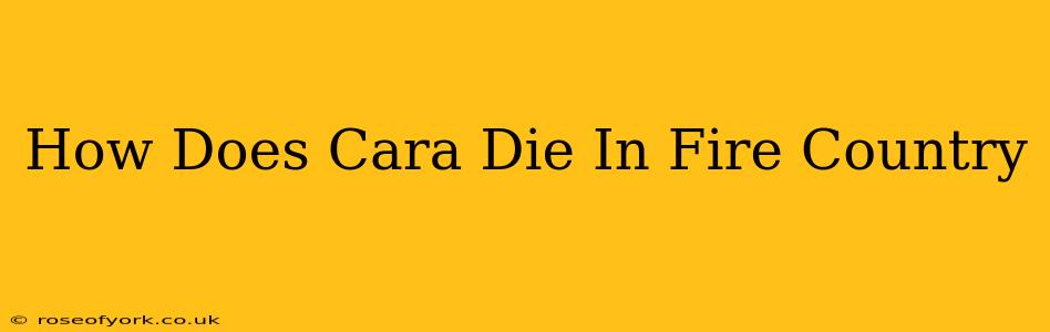 How Does Cara Die In Fire Country