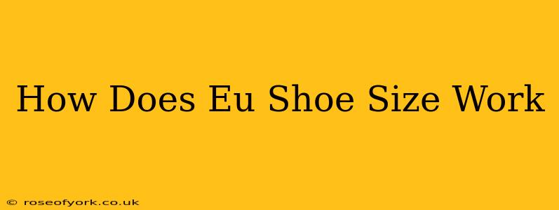 How Does Eu Shoe Size Work