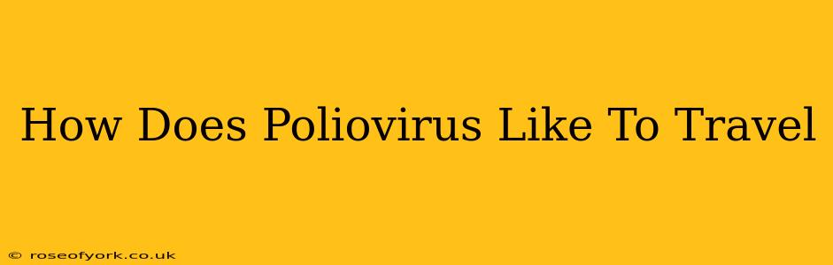 How Does Poliovirus Like To Travel