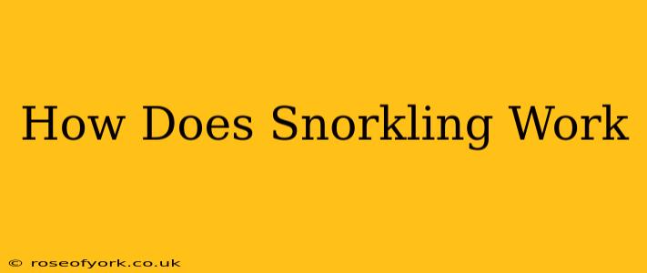 How Does Snorkling Work