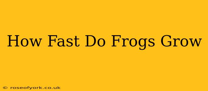 How Fast Do Frogs Grow