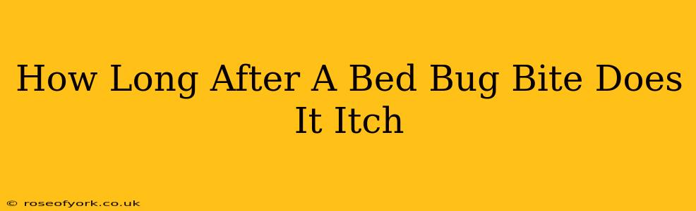 How Long After A Bed Bug Bite Does It Itch