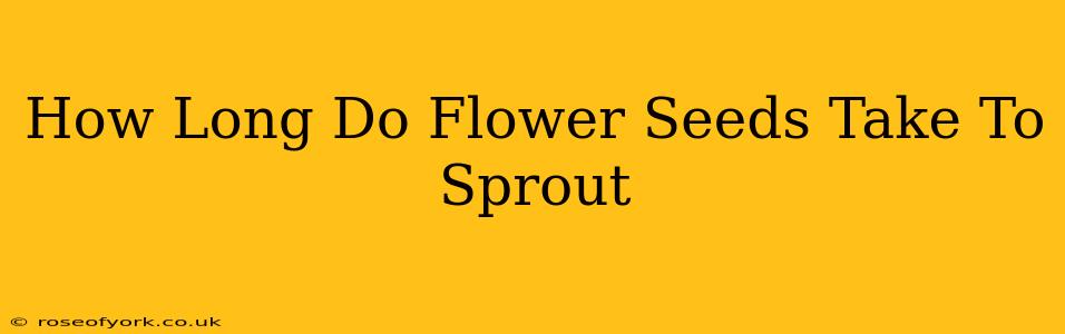 How Long Do Flower Seeds Take To Sprout