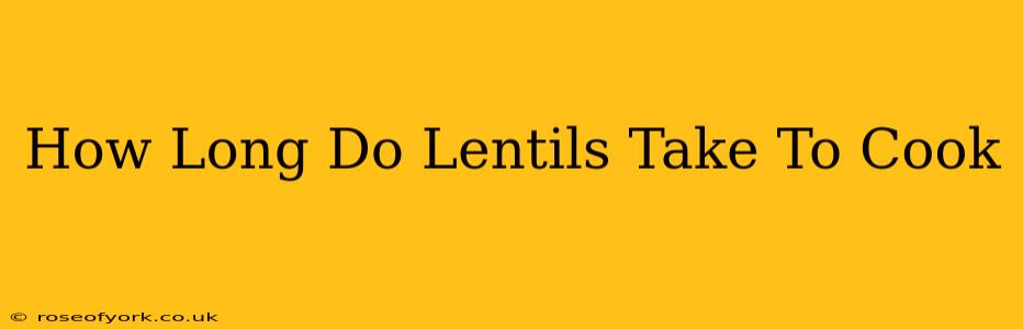 How Long Do Lentils Take To Cook