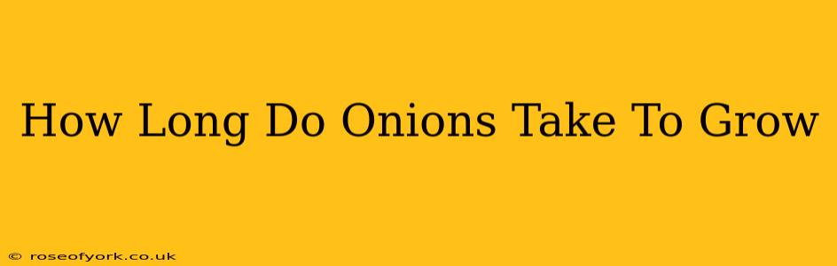 How Long Do Onions Take To Grow