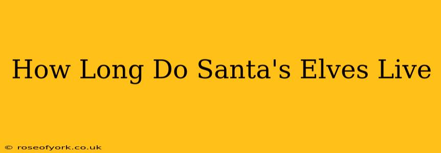 How Long Do Santa's Elves Live