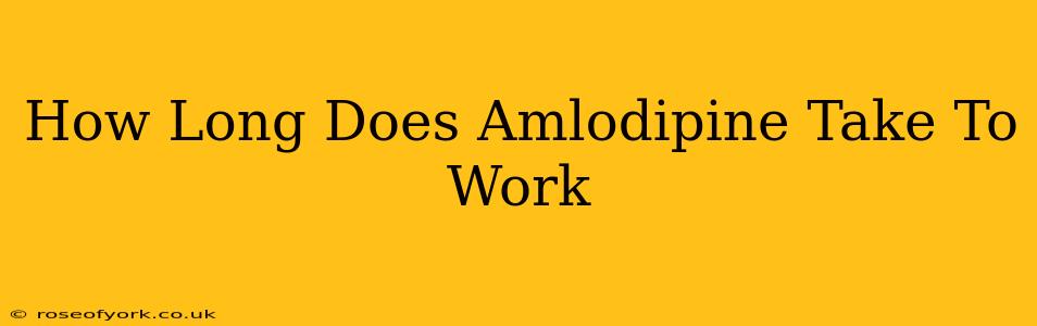 How Long Does Amlodipine Take To Work