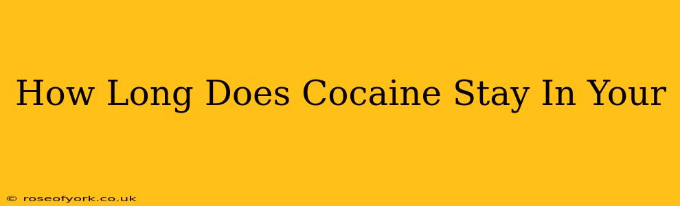 How Long Does Cocaine Stay In Your