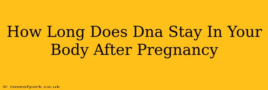 How Long Does Dna Stay In Your Body After Pregnancy