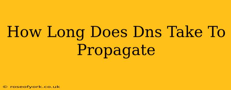 How Long Does Dns Take To Propagate