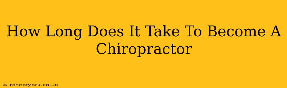 How Long Does It Take To Become A Chiropractor