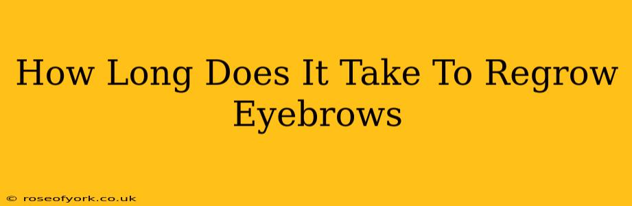 How Long Does It Take To Regrow Eyebrows