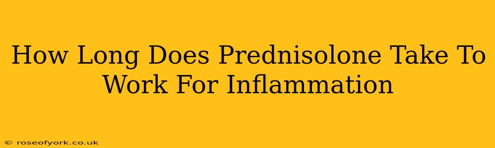 How Long Does Prednisolone Take To Work For Inflammation