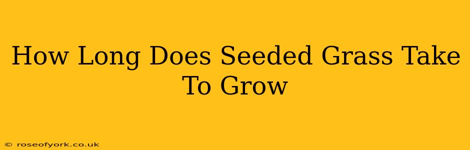 How Long Does Seeded Grass Take To Grow