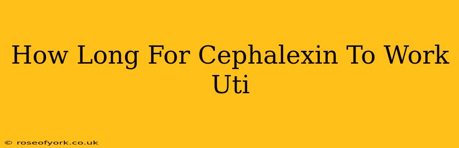 How Long For Cephalexin To Work Uti