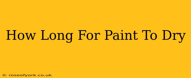 How Long For Paint To Dry