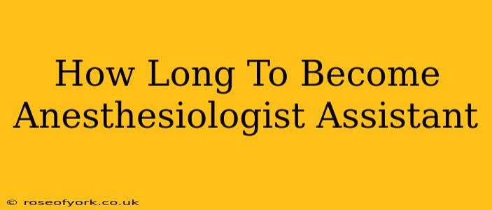 How Long To Become Anesthesiologist Assistant