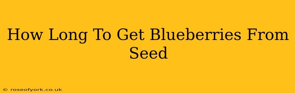 How Long To Get Blueberries From Seed