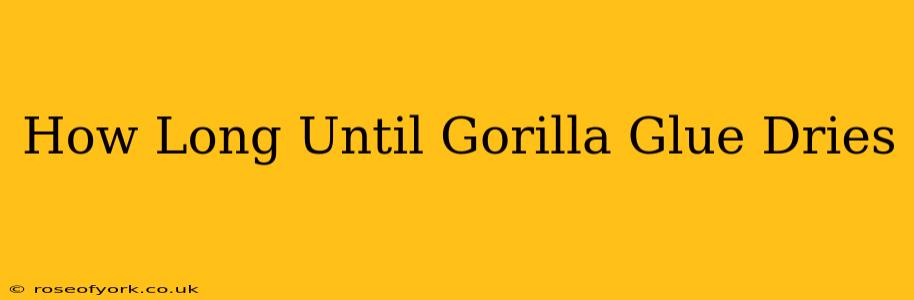 How Long Until Gorilla Glue Dries