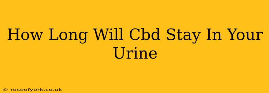 How Long Will Cbd Stay In Your Urine