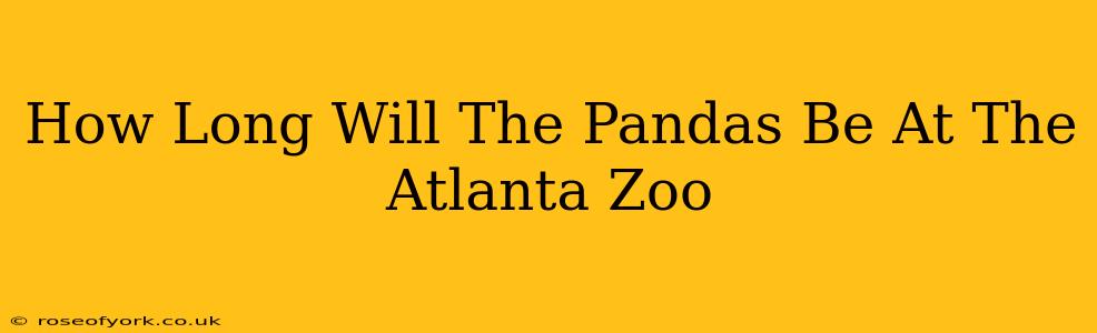 How Long Will The Pandas Be At The Atlanta Zoo