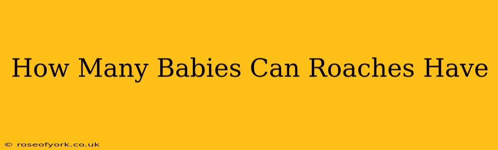 How Many Babies Can Roaches Have