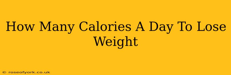 How Many Calories A Day To Lose Weight