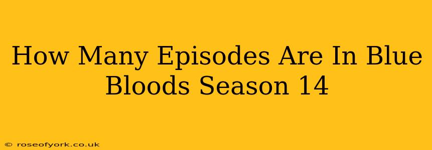 How Many Episodes Are In Blue Bloods Season 14