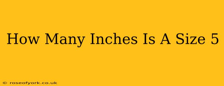 How Many Inches Is A Size 5