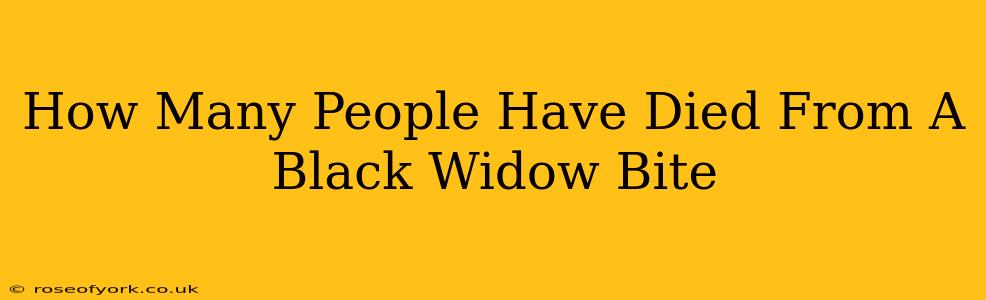 How Many People Have Died From A Black Widow Bite