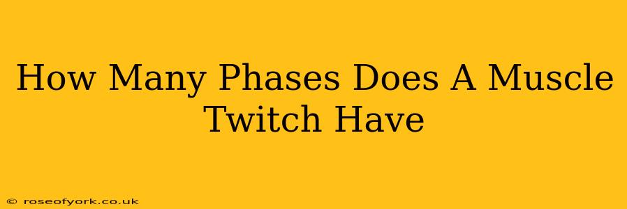 How Many Phases Does A Muscle Twitch Have